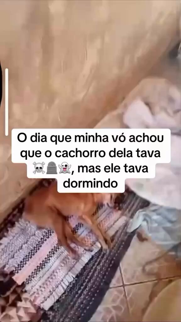 "mas ele ja ta no fim, viu" kkkkkkkkkkk