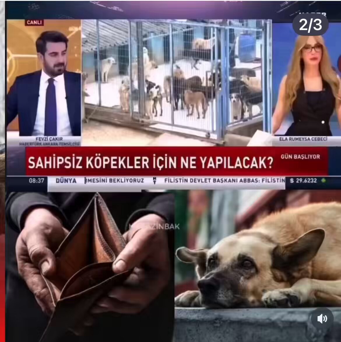 Fevzi Evine Et Götüremezsen Dm’den Yaz. Çocuklarımdan Artan Çorbalık Olursa Yollarım❗️