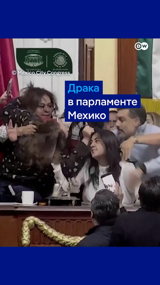 Оппозиция подралась с правящей партией в городском парламенте Мехико. Все дело в спорной реформе органа по вопросам прозрачности информации #dwnewsshorts