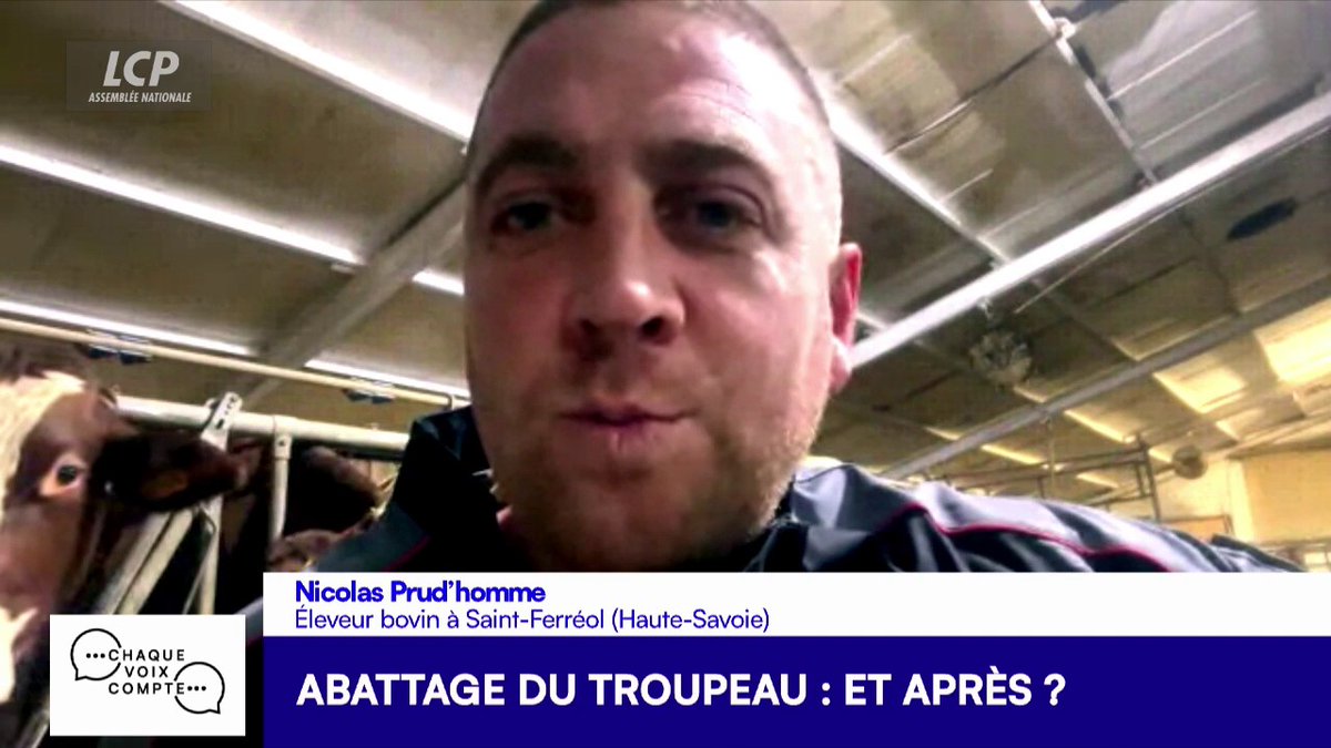 #Dermatose nodulaire : "Dans les médias tout le monde donne son avis et il y a beaucoup de bêtises qui se racontent (...) faites confiance à ce que l'on vous dit", témoigne Nicolas Prud’homme, éleveur bovin en Haute-Savoie. #ChaqueVoix