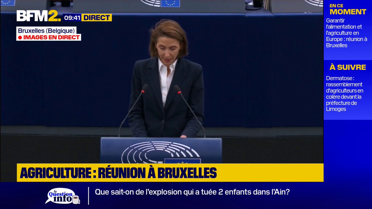 "N'ayons pas la main qui tremble, il s'agit de notre crédibilité" Valérie Hayer, présidente de Renew Europe, appelle à mobiliser les "210 milliards d'euros d'actifs" russes gelés pour aider l'Ukraine #BFM2
