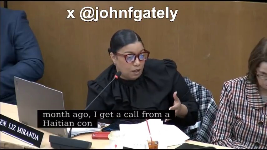 SHE'S NOT AN EXPERT But State Senator Miranda's first question to Doug Howgate of Massachusetts Taxpayers Foundation is about the impact of the state budget on non-citizens at yesterday's Consensus Revenue Hearing. #mapoli