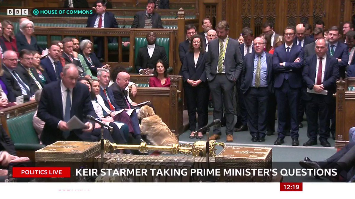 Lib Dem leader Ed Davey asks the PM "what concrete steps he's taking to make sure Jewish people are safe in Britain"? Keir Starmer says "we have actions that match the words that we have expressed in response to these horrific attacks" #PMQs