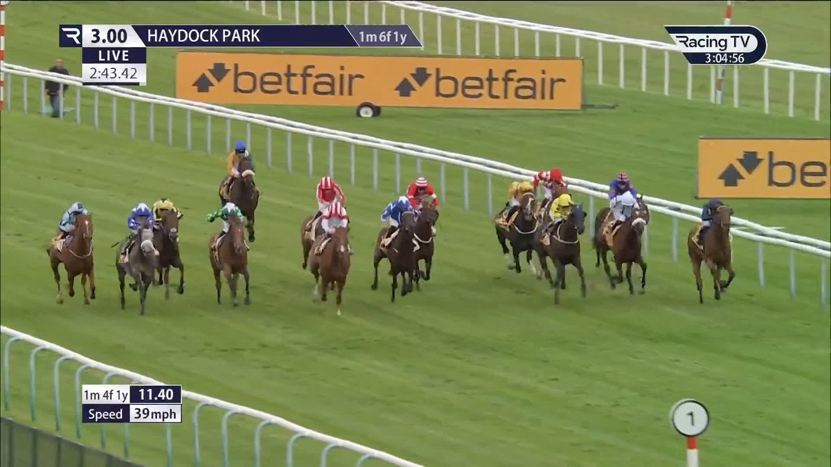 ✅ THE REVEREND has been entered in a 2m maiden hurdle at Leopardstown RC on 26th December.