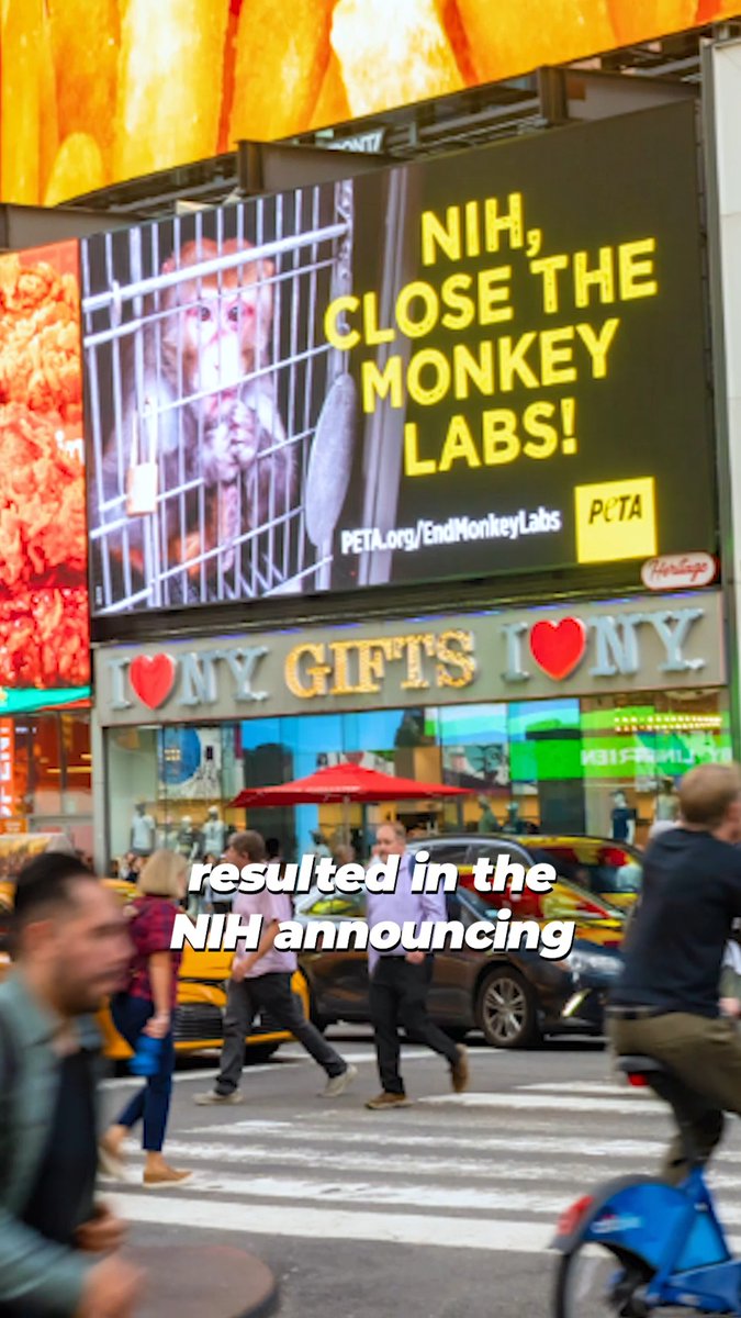 Together we are UNSTOPPABLE! 💪 In 2025, together we helped secure huge wins for animals✨ from Harvard University losing funding for baby monkey experiments to goop dropping Angora and Dunkin' dropping its vegan milk upcharge. What victory are you hoping for in 2026?