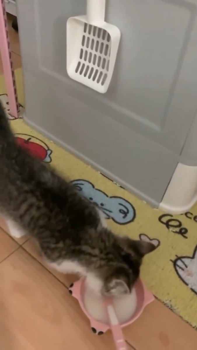 So happy it's dinnertime
