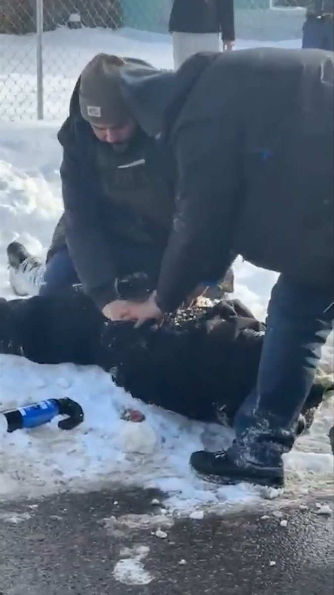 The disturbing incident occurred on Monday in Minnesota.