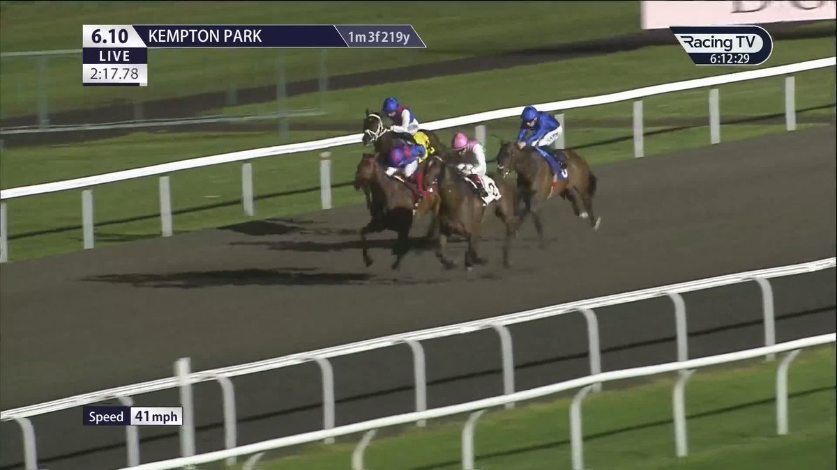 Form REVERSAL 💚🤍🩷 𝐒𝐡𝐚𝐝𝐞𝐫 reverses recent Southwell form with Dubai Honour to land the £50,000 Listed Wild Flower Stakes and make it 4-5 on the AW. Unibet | Colin Keane | Juddmonte