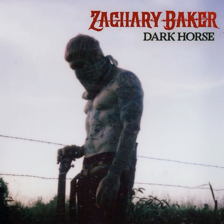 For those who stay fearless. New debut single "Dark Horse" from Zacky V available now on all streaming platforms.