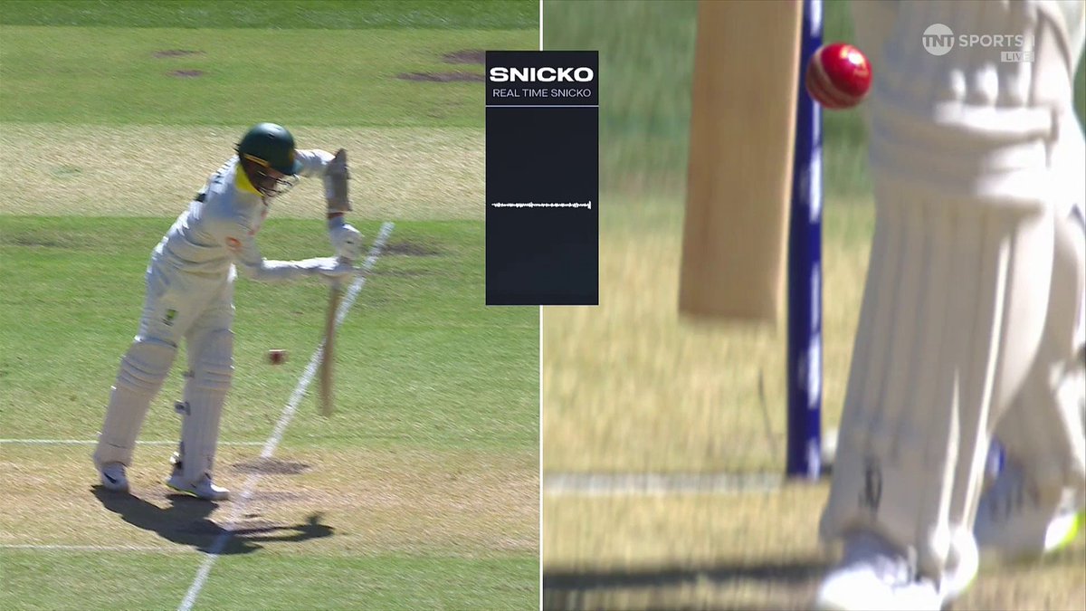 Archer dismisses Nathan Lyon, with Australia all out for 371!