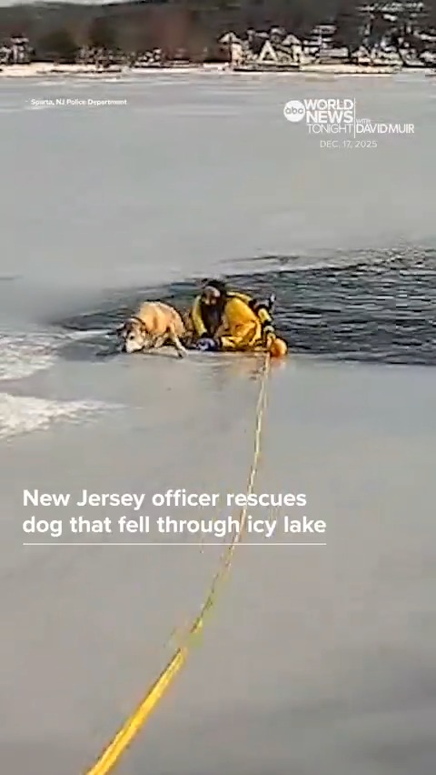 Very good human saves dog who fell in ice in New Jersey.