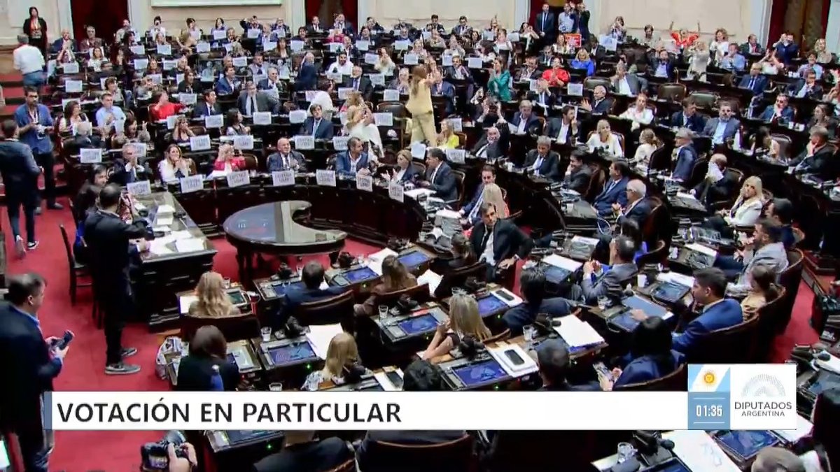"Discapacidad": Porque la Cámara de Diputados rechazó el capítulo del Presupuesto 2026 que derogaba las leyes de Emergencia en Discapacidad y Financiamiento Universitario