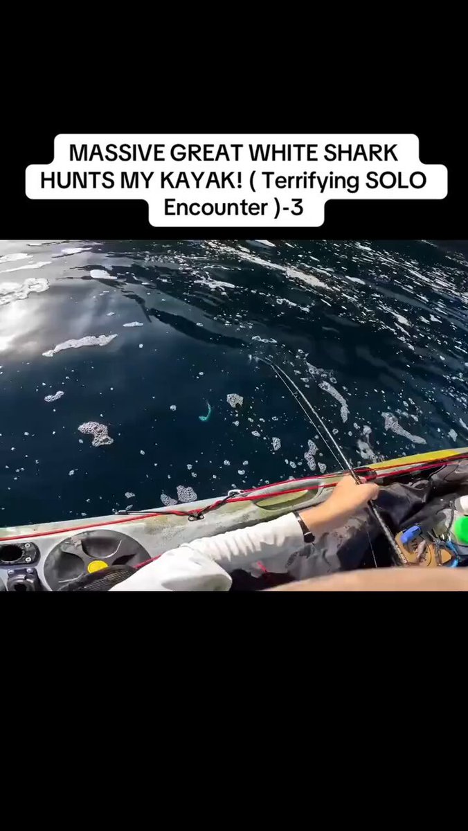 Never understood why people take kayaks to the ocean...🦈😬