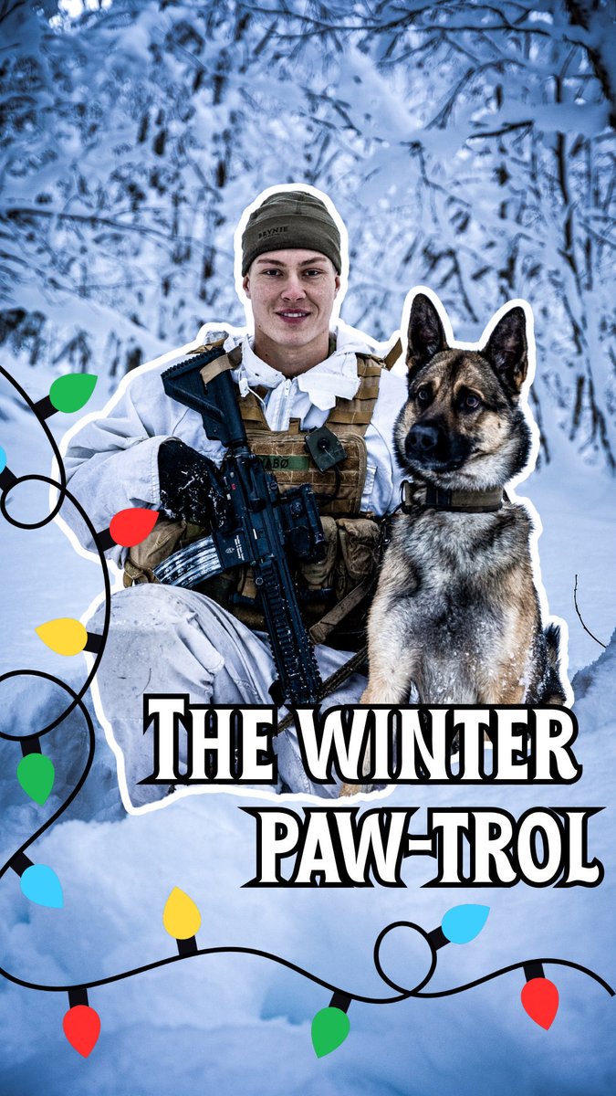 The winter paw-trol 🐕 A group of 🇳🇴 Norwegian Army conscripts follow their trusty military working dog on a mission. What are they searching for in the snow-covered forest? 🌲 ❄️