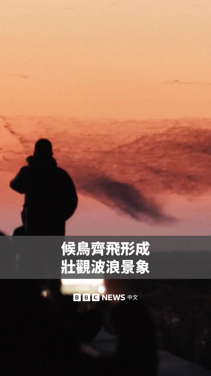 在中国东部山东省东营市黄河入海口，候鸟在空中集体飞行，幻化成壮观的“波浪”。 黄河三角洲保护区是全球候鸟迁徙的重要中转站之一，每年有超过600万只鸟类在此繁衍栖息。