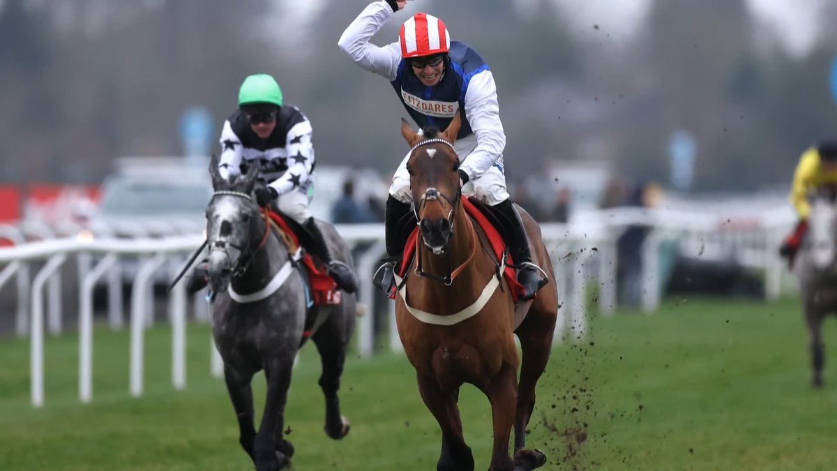 "He looks a million dollars!" 🤩 Ben Pauling Racing provides a positive update on stable star The Jukebox Man ahead of his bid to land the King George VI Chase on Boxing Day...