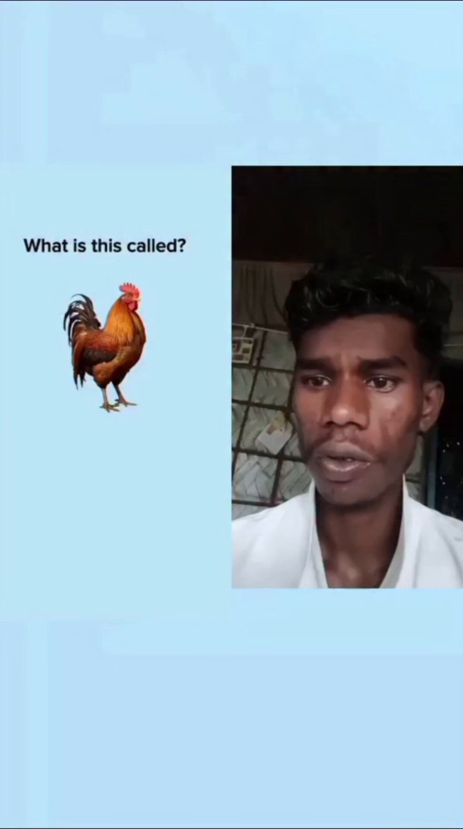 Laughter riot 😂🤣