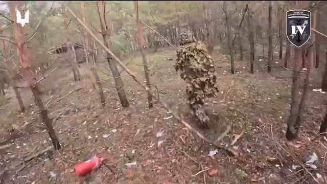 Ukrayna 8. Alaya bağlı Özel Kuvvetler Grubu ormanlık alanda operasyon gerçekleştiriyor.