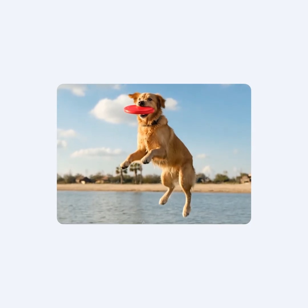 You can now ask Google Gemini: "Is this video made with AI?" 🔍 Upload the file and it will check for the SynthID watermark to help verify if it was created or edited by Google tools. Find out more →