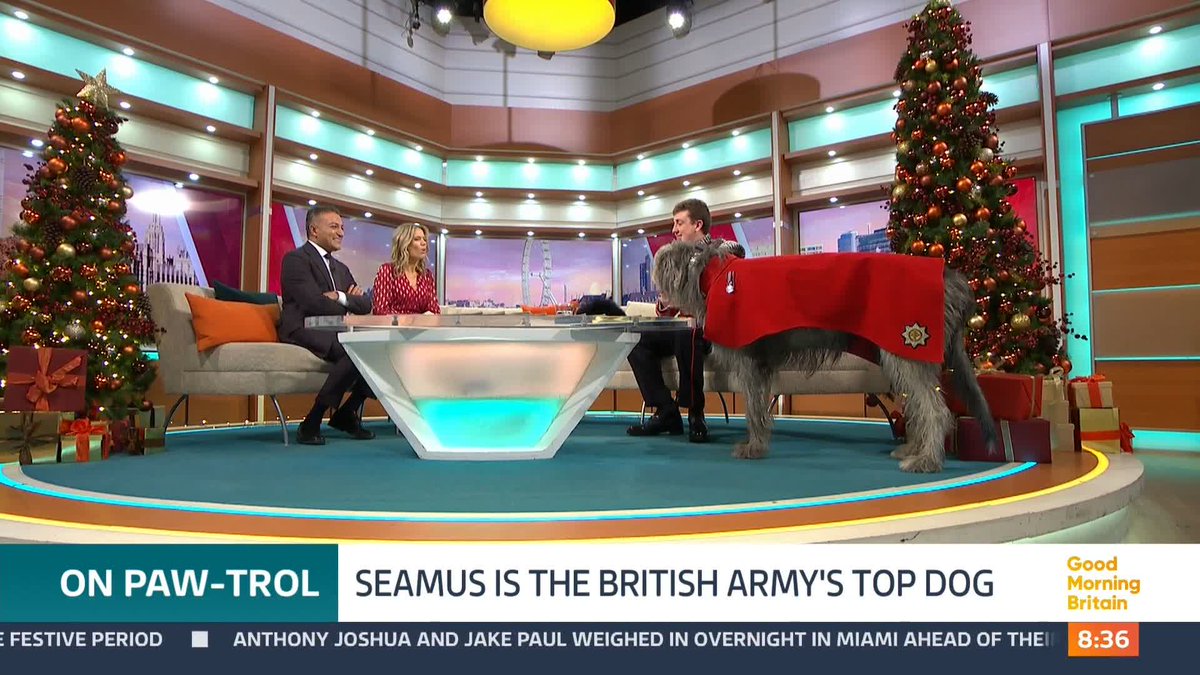 The Irish Guard was introduced to the British army 125 years ago, and since 1902, the regiment's always had an Irish wolfhound as its mascot. Seamus, the wolfhound, has taken on an important new duty, supporting newly-trained troops from Ukraine as they journey to the frontline.