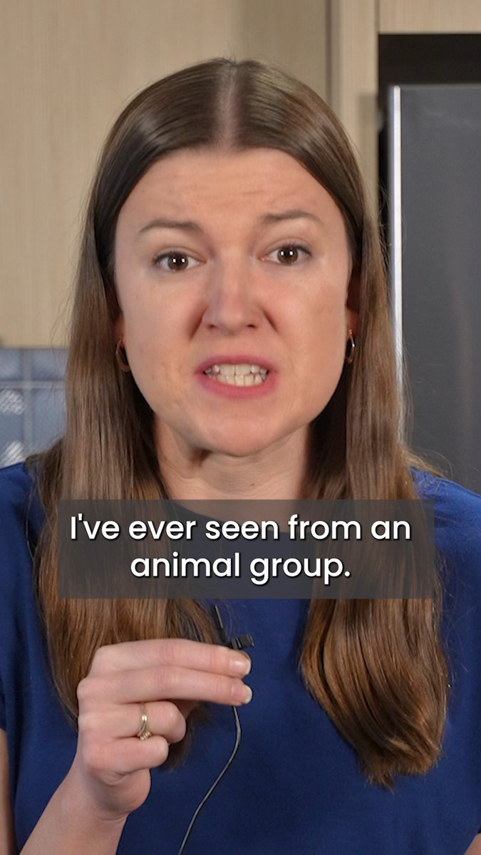 Humane World for Animals (formerly the Humane Society of the U.S.) is sitting on hundreds of millions in investments while pet shelters are in crisis.