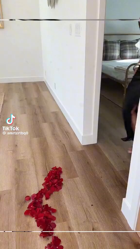 So romantic. . . 🤣😂