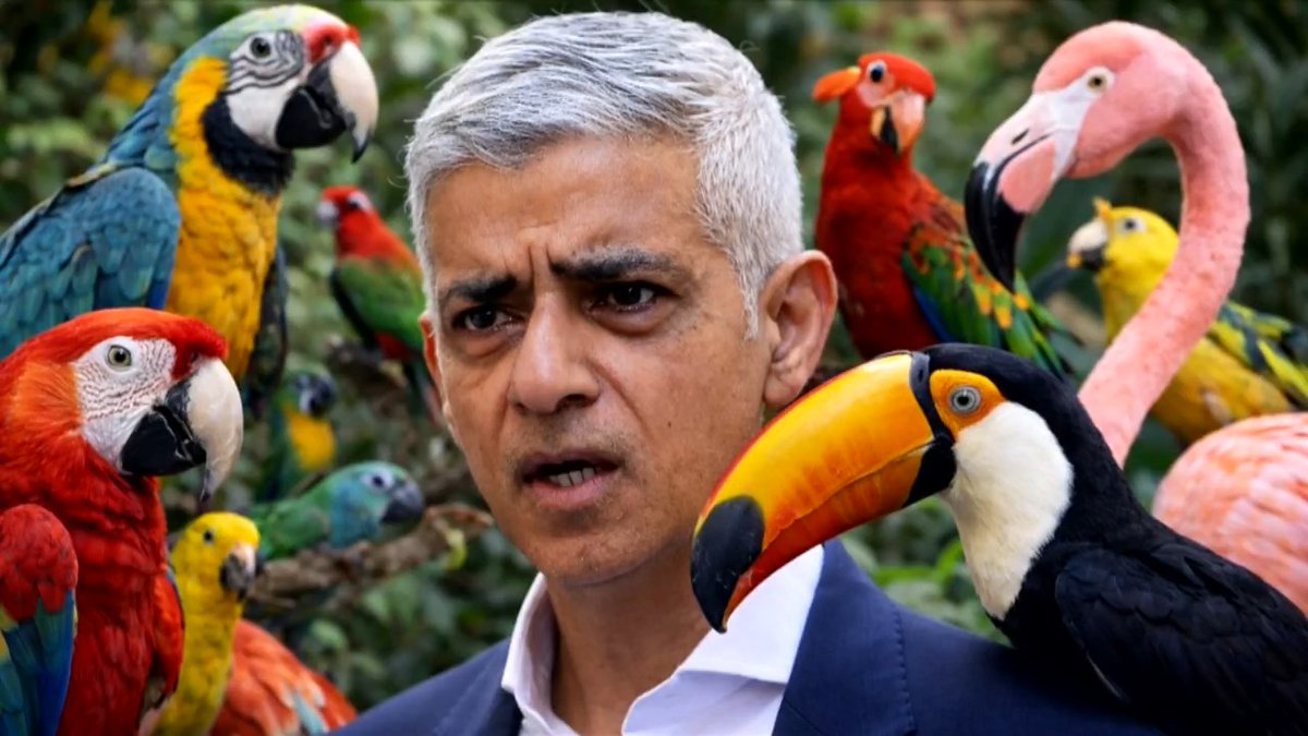 Sadiq Khan has been criticised for 'wasting' £500,000 of public money on releasing rare birds into one of London’s poorest boroughs. Amanda Devlin: "He spends money on the most ridiculous things." PLANK OF THE WEEK: Kevin O'Sullivan Amanda Devlin