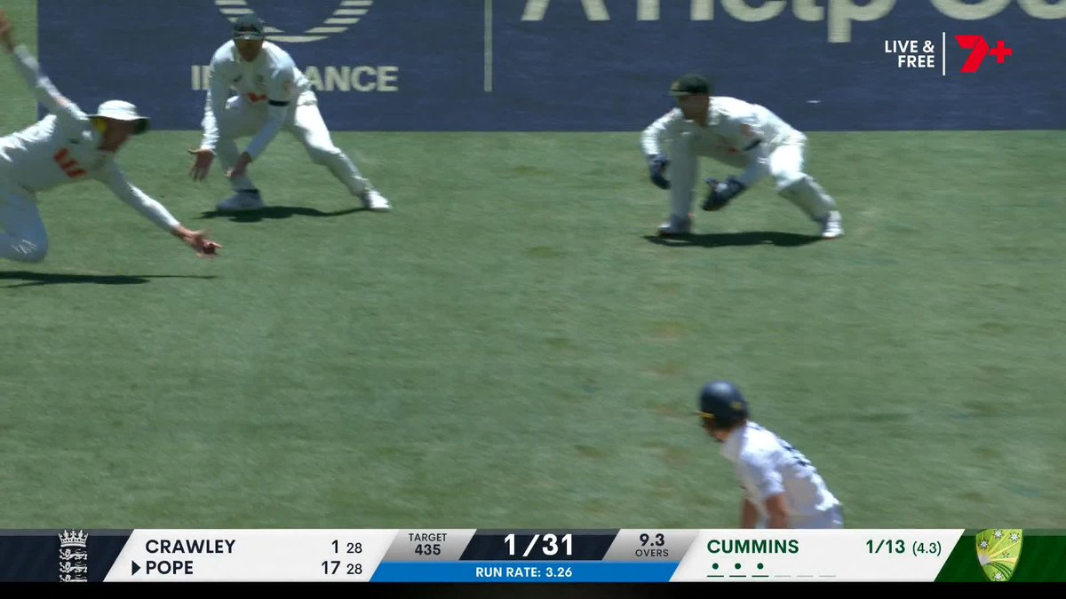 MARNUS SCREAMER IN THE SLIPS 🤯 And he's off and celebrating! #Ashes