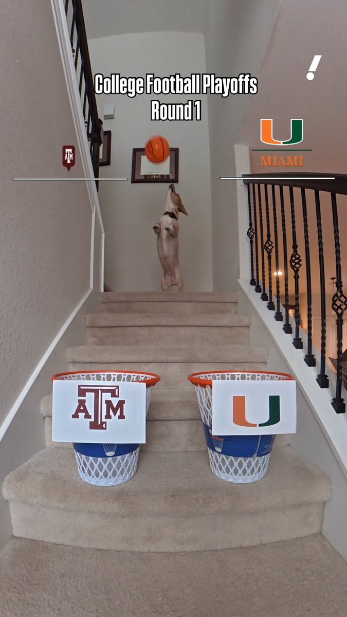 Air Corgi is rocking with the Aggies vs. Miami 😤 You like the pick? 🤔