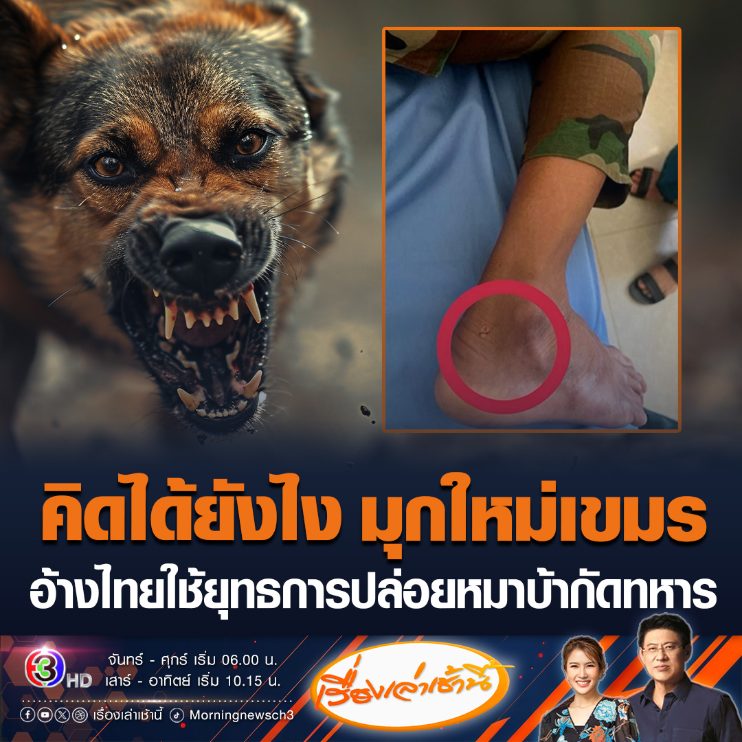 #เรื่องเล่าเช้านี้ มามุกใหม่! สื่อเขมรอ้างทหารไทยเล่นสกปรก ใช้ยุทธการปล่อยหมาบ้ากัดทหารกัมพูชาจนได้รับบาดเจ็บ เสี่ยงติดเชื้อพิษสุนัขบ้า ระหว่างถูกโจมตีได้ยิงหมาบ้าของไทยตายไป 1 ตัว #ข่าวช่อง3 #ไทยกัมพูชา #กัมพูชา