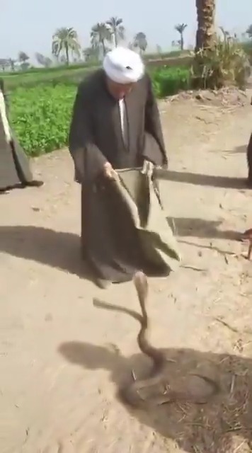 Muslim power