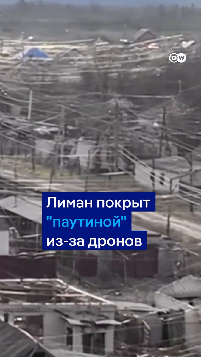 Это - не паутина. Лиман в Донецкой области покрыт оптоволокном из-за FPV-дронов. Над городом ежедневно пролетают сотни оптоволоконных дронов, оставляя после себя нити