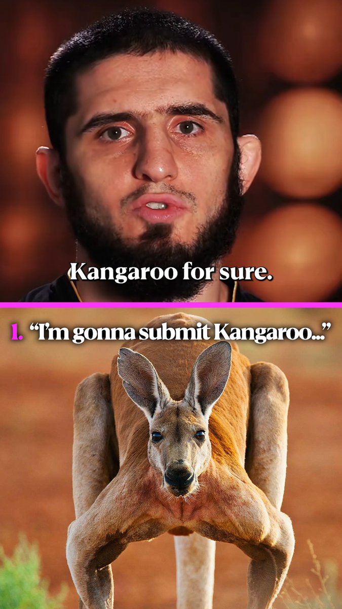 Islam Makhachev is lowkey the funniest guy in the UFC... 🤣