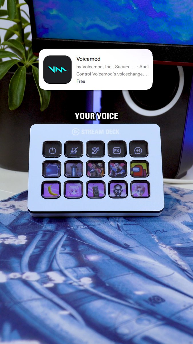 Did you know it's super easy to change your voice with the @Voicemod plugin for Stream Deck? Here's what you can do: 🗣️ Change your voice ☑️ Play sound effects 🌈 Toggle background effects 🦻 Preview your mic ➕... And more! 🔗