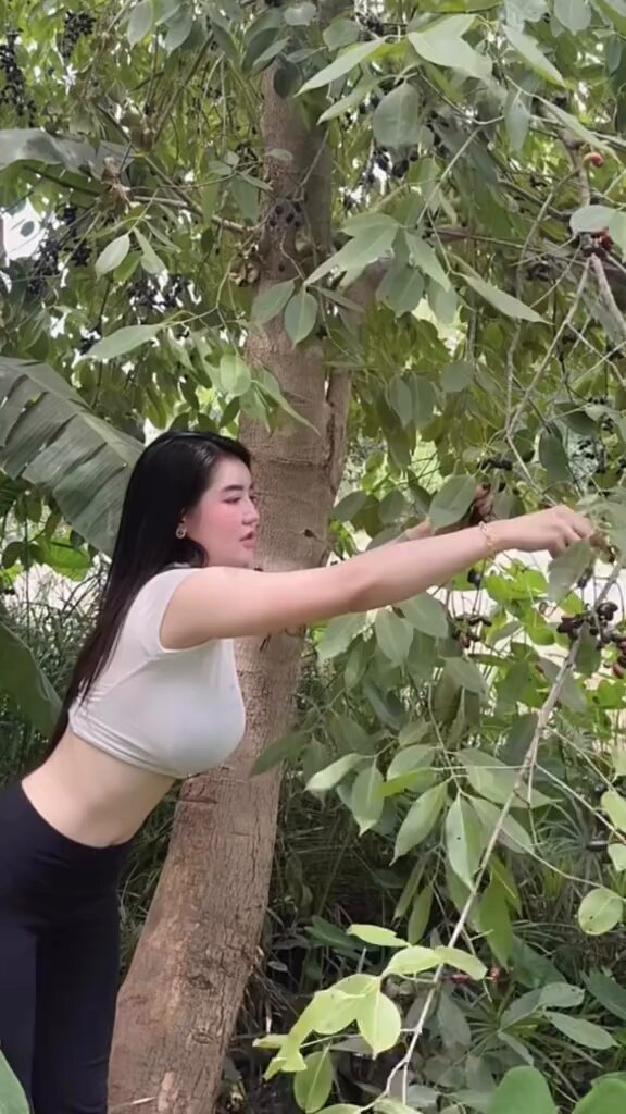 เก็บผลไม้กินกัน🍇👧🏻🏡