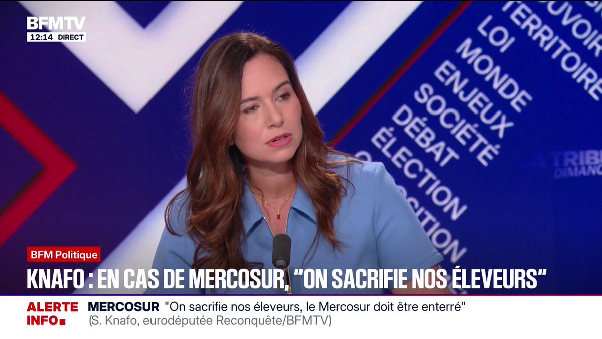 Budget 2026: "J'ai établi un contre-budget qui propose 80 milliards d'économies", déclare Sarah Knafo, eurodéputée "Reconquête"