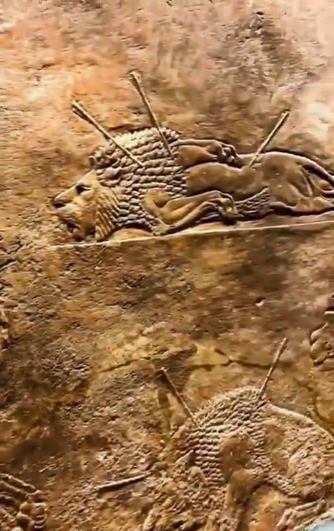 If the hunt was staged, was the real target the lions, or the people, trained to equate royal violence with cosmic order and political legitimacy?