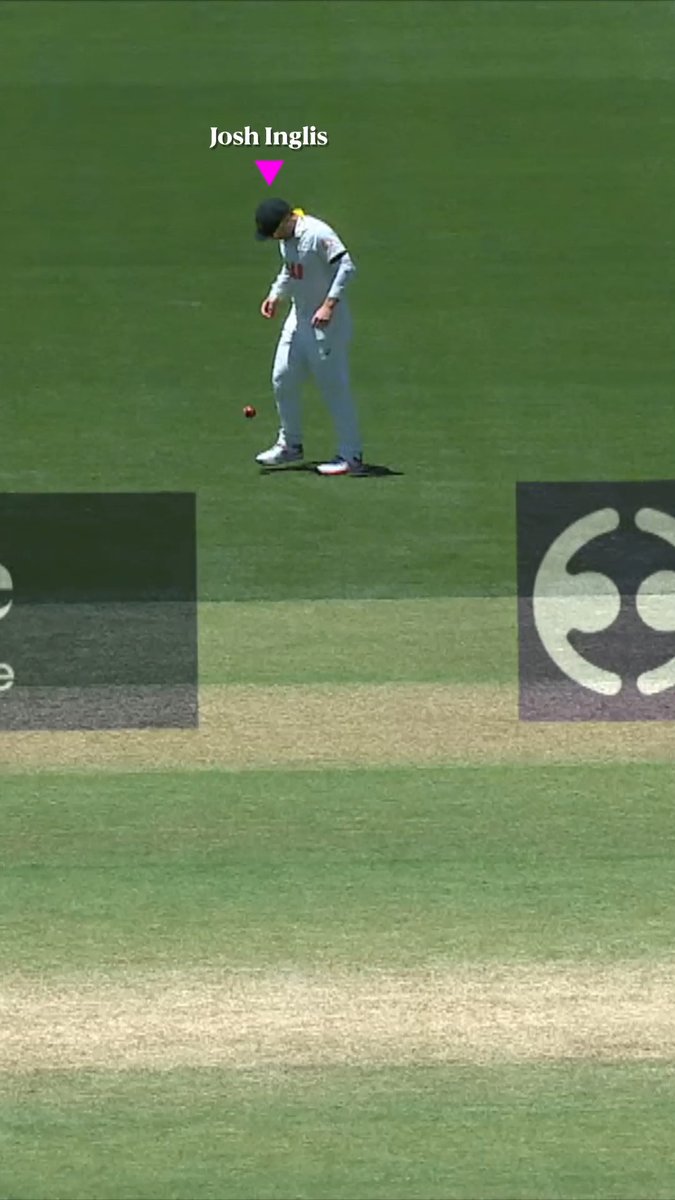 Australia's Josh Inglis is playing the wrong sport ⚽️🏏 #TheAshes