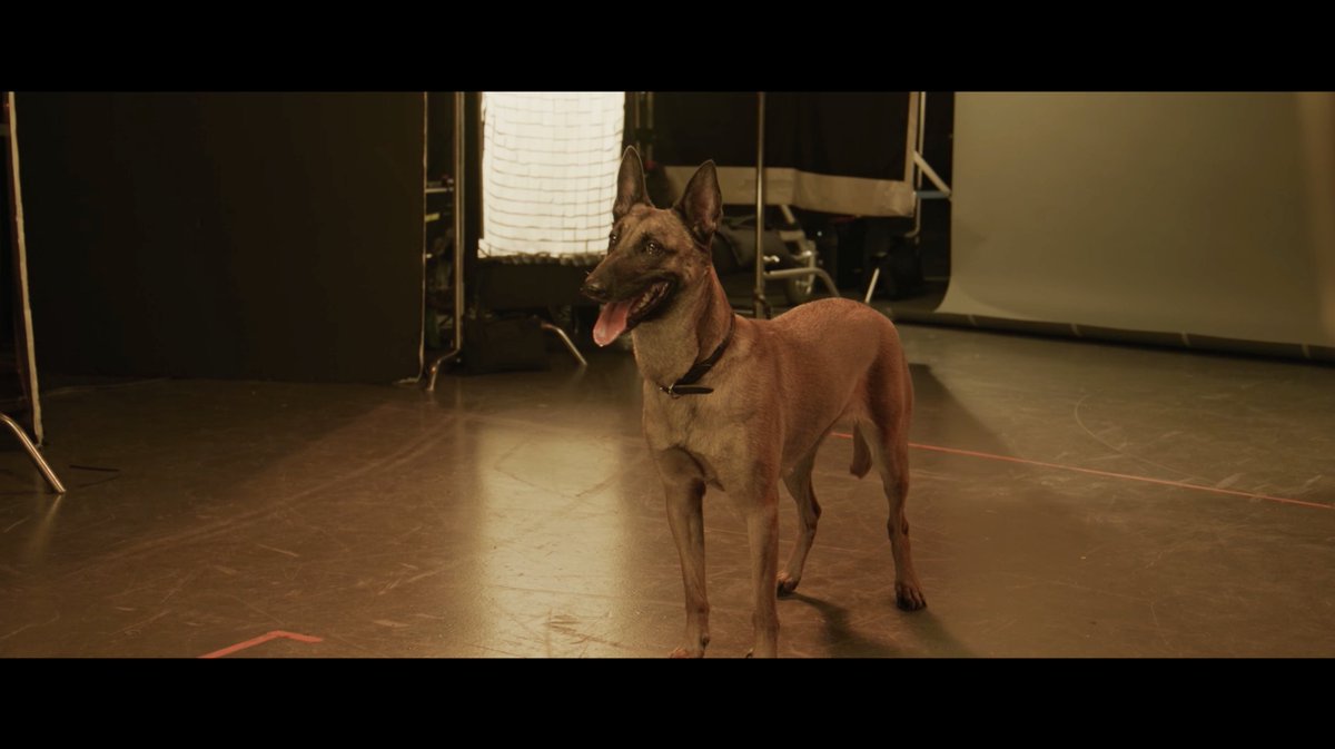 The goodest video you’ll watch today.