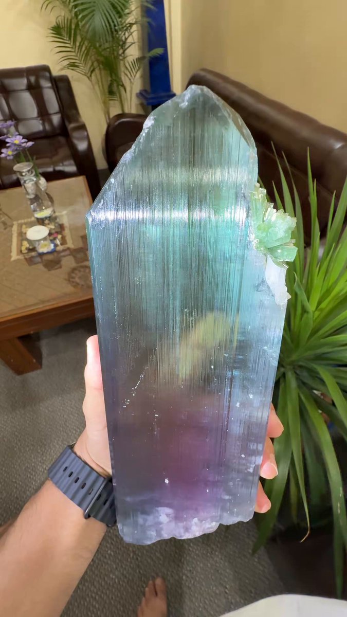 Doubly terminated spodumene var. kunzite in association with tourmaline, quartz, and albite Video: Fine Art Minerals