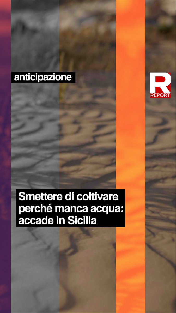 Alle pendici dell’Etna nasce la celebre arancia rossa: un territorio dove ci si divide tra chi, con enormi fatiche, riesce ancora a resistere, e chi invece ha dovuto abbandonare tutto. Segui #Report ora in diretta su #Rai3👇