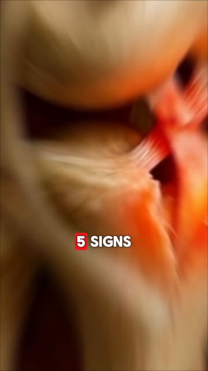 Warning signs of an ACL injury