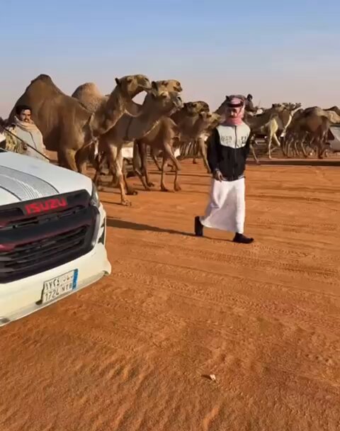 مشاركة الوطارق النفيعي في شوط سيف الملك شعل 🔥🏆