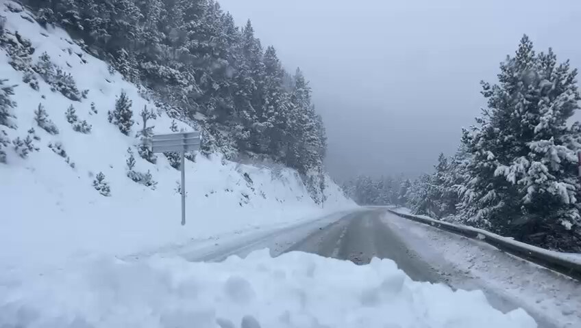 La Marta i la Sílvia ja baixen de la Collada cap a La Molina PIRINEU365 Arbres carregats, carretera en bon estat i música de Coldplay. 3CatInfo El temps Meteocat