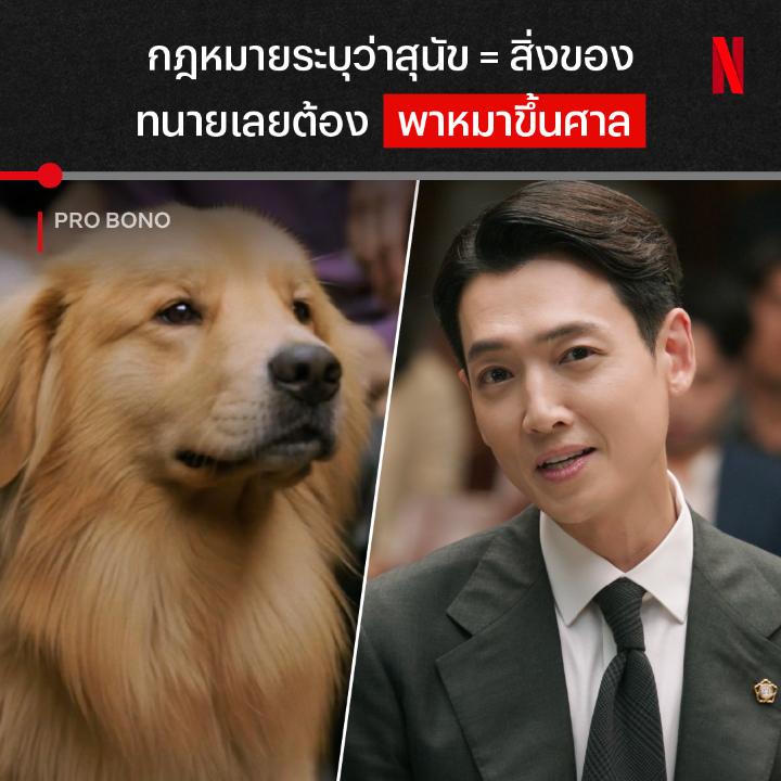 สุนัขไม่ใช่สิ่งของ เพราะน้องก็มีหัวใจ 🥹 เมื่อกฎหมายระบุไว้แบบนี้ ทนายคนนี้เลยขอเบิกหลักฐานเป็นพยานสี่ขามากลางศาล กับสกิลการสู้คดีที่ทำทาสหมามีน้ำตาเป็นจำนวนมาก สรุปแล้วน้องจะได้ไปอยู่กับเจ้าของคนไหน มาลุ้นคำตัดสินไปพร้อมกันได้ใน #ProBono ที่ #NetflixTH เท่านั้นครับ