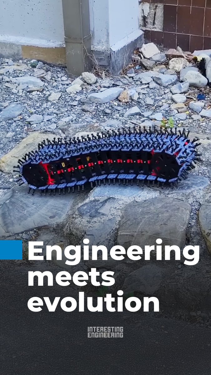 The Porcaspino robot is ready to explore the narrowest spaces using its spiky caterpiller-like segmented body. 🎥 University of Genoa