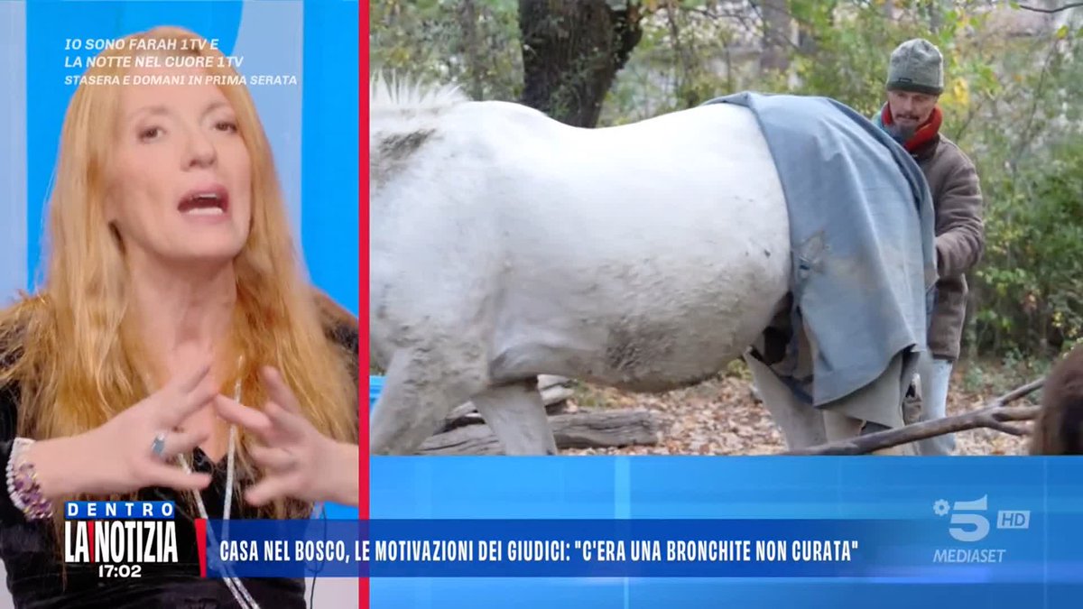 Famiglia nel bosco, Brambilla: "Tutti i giorni ci sono bambini che subiscono violenze, quelli sono bambini da portare via non i figli di Nathan e Catherine". Siete d'accordo? #DentrolaNotizia