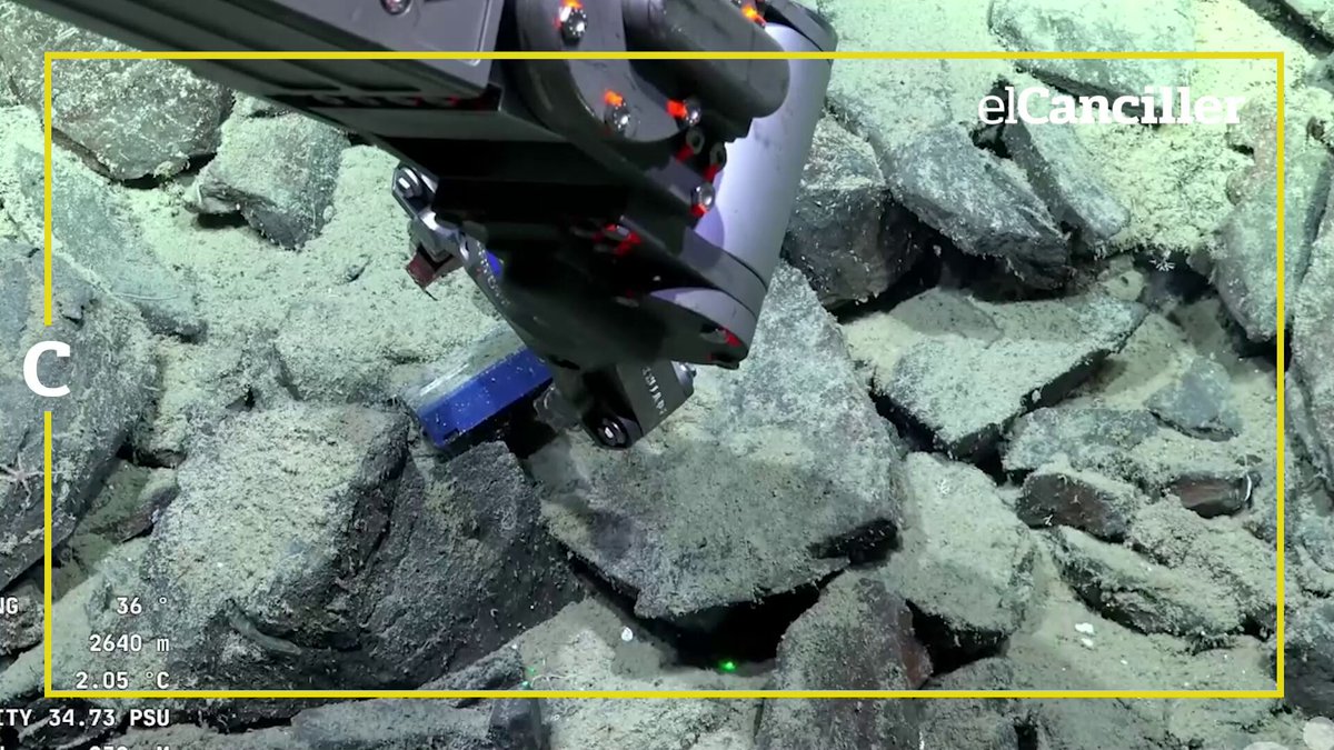 [CIENCIA] Encontraron un casete de VHS durante la expedición Schmidt Ocean y el CONICET: estaba a 2.640 metros de profundidad y tenía una estrella de mar.