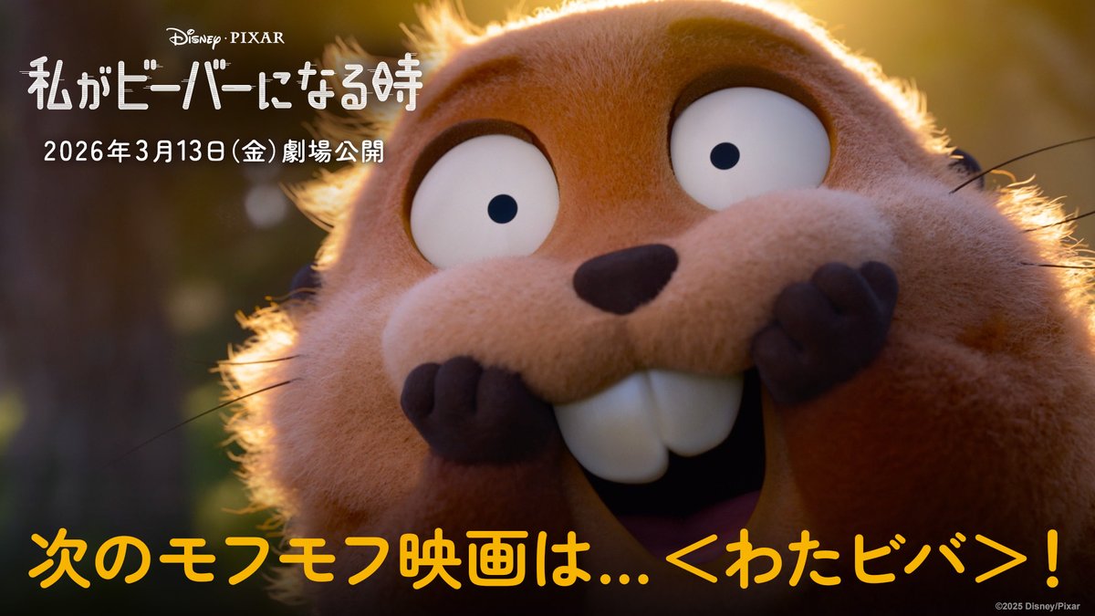大ヒット上映中『ズートピア2』 そして次なる❝もふもふ❞映画は… ジュディ🐰からメイベル🦫へ “ホップす”る💫 ディズニー&ピクサー最新作 🟡2026年3月13日公開🟡 『私がビーバーになる時』 \\2026年は、わたビバ🦫❗️//