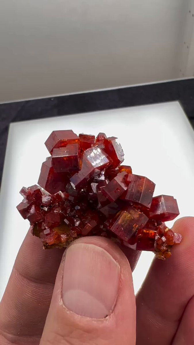 Perfect Vanadinite crystals from Mibladene, Morocco Video: Margraf Minerals